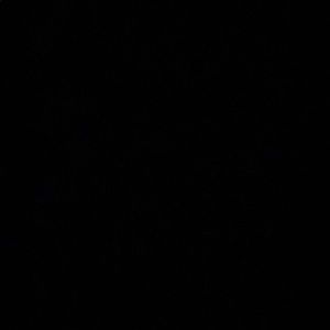 Meet your Posher, Bri’nae